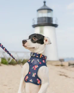 ST x Pawsitivity Garden Splendor Dog Harness