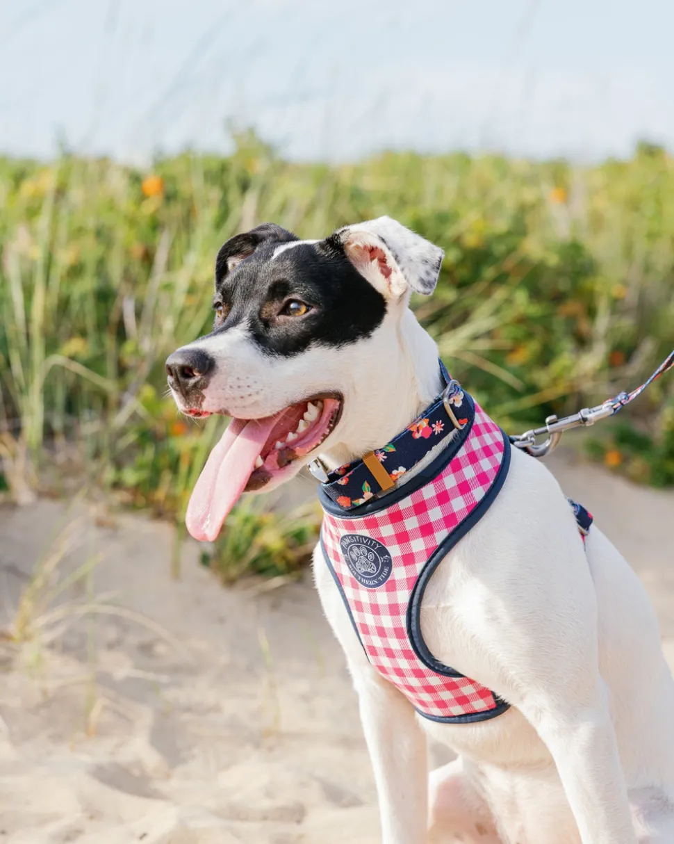 ST x Pawsitivity Garden Splendor Dog Harness