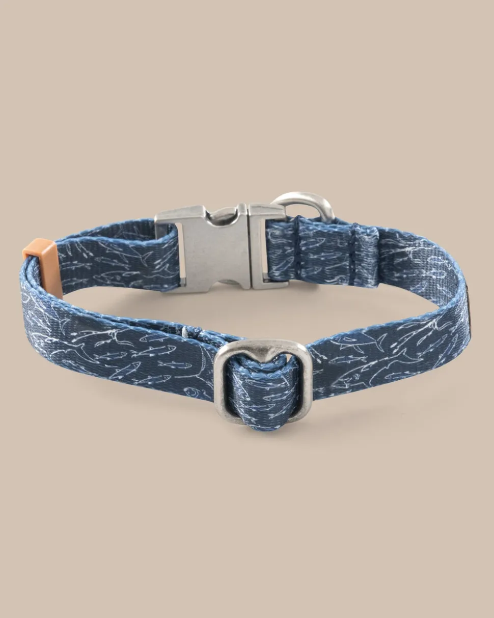 ST x Pawsitivity Schooling Fish Dog Collar