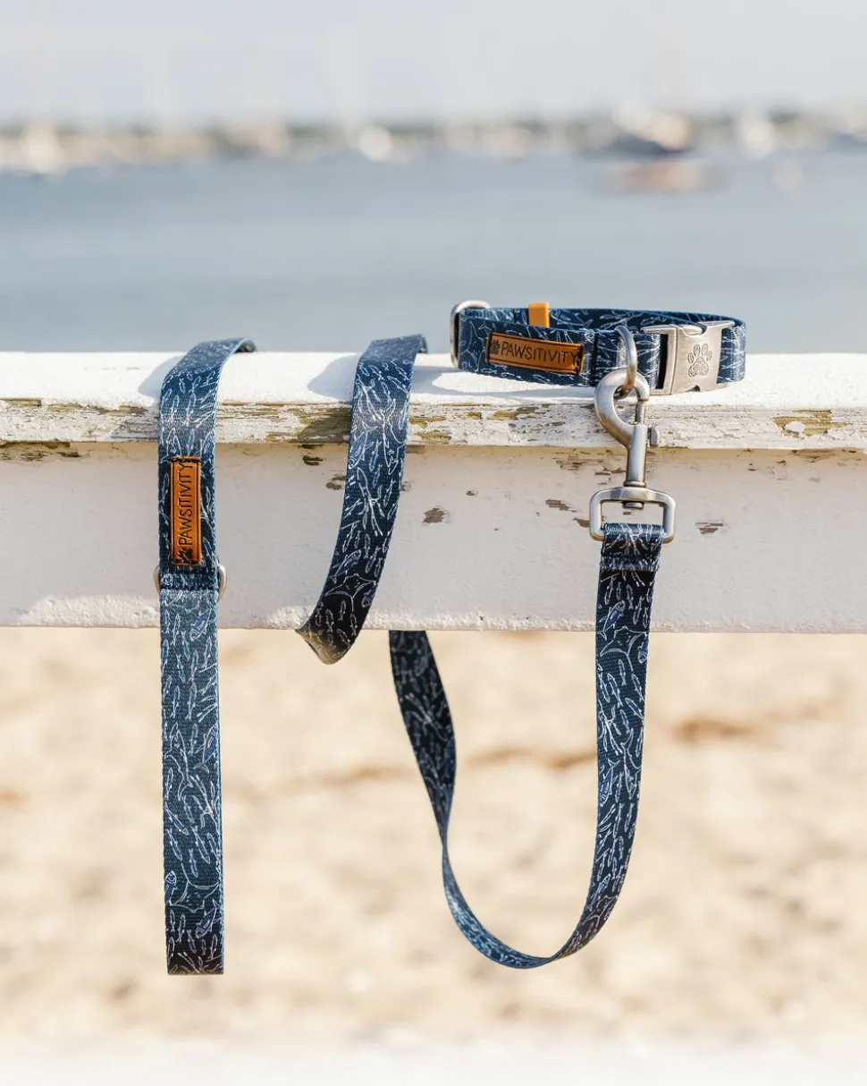 ST x Pawsitivity Schooling Fish Dog Leash